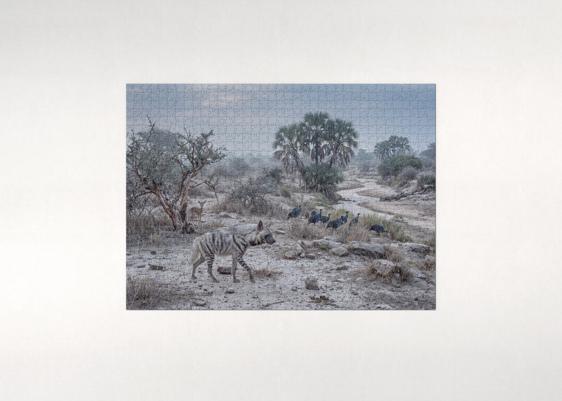 Striped Hyena in the Thorn Scrub jigsaw puzzle - gift box
