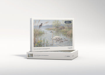 Swan and Cygnets in the Spring Reeds jigsaw puzzle - gift box