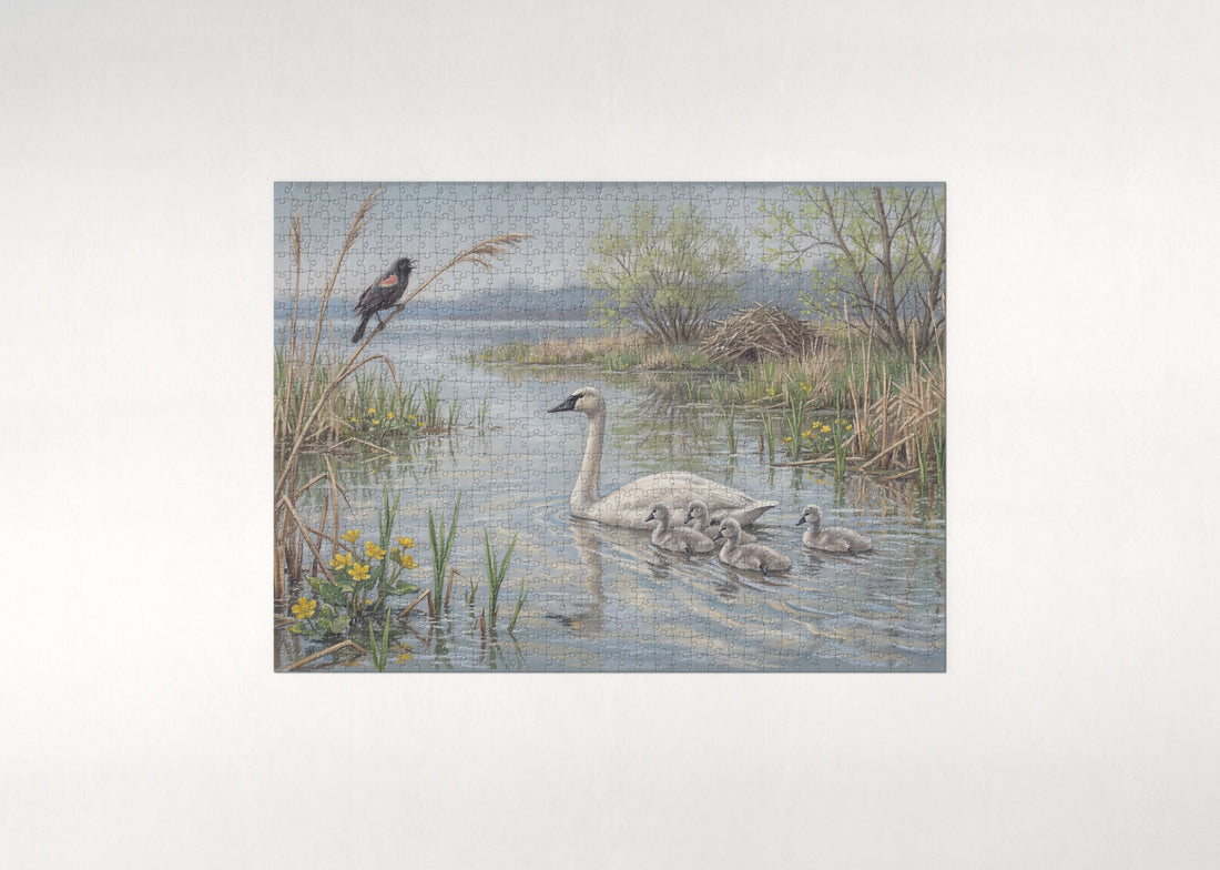Swan and Cygnets in the Spring Reeds jigsaw puzzle - gift box