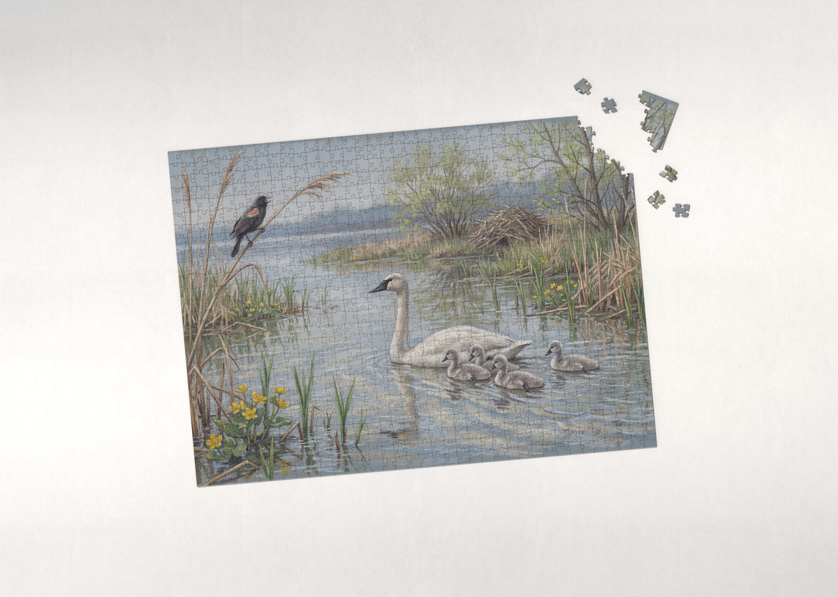 Swan and Cygnets in the Spring Reeds jigsaw puzzle - puzzle with loose pieces