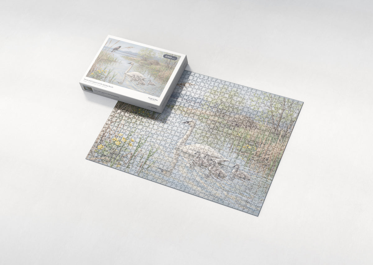 Swan and Cygnets in the Spring Reeds jigsaw puzzle - box and puzzle