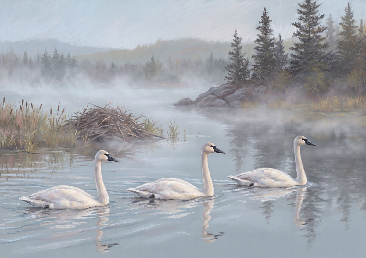 Swans on the Misty Lake jigsaw puzzle