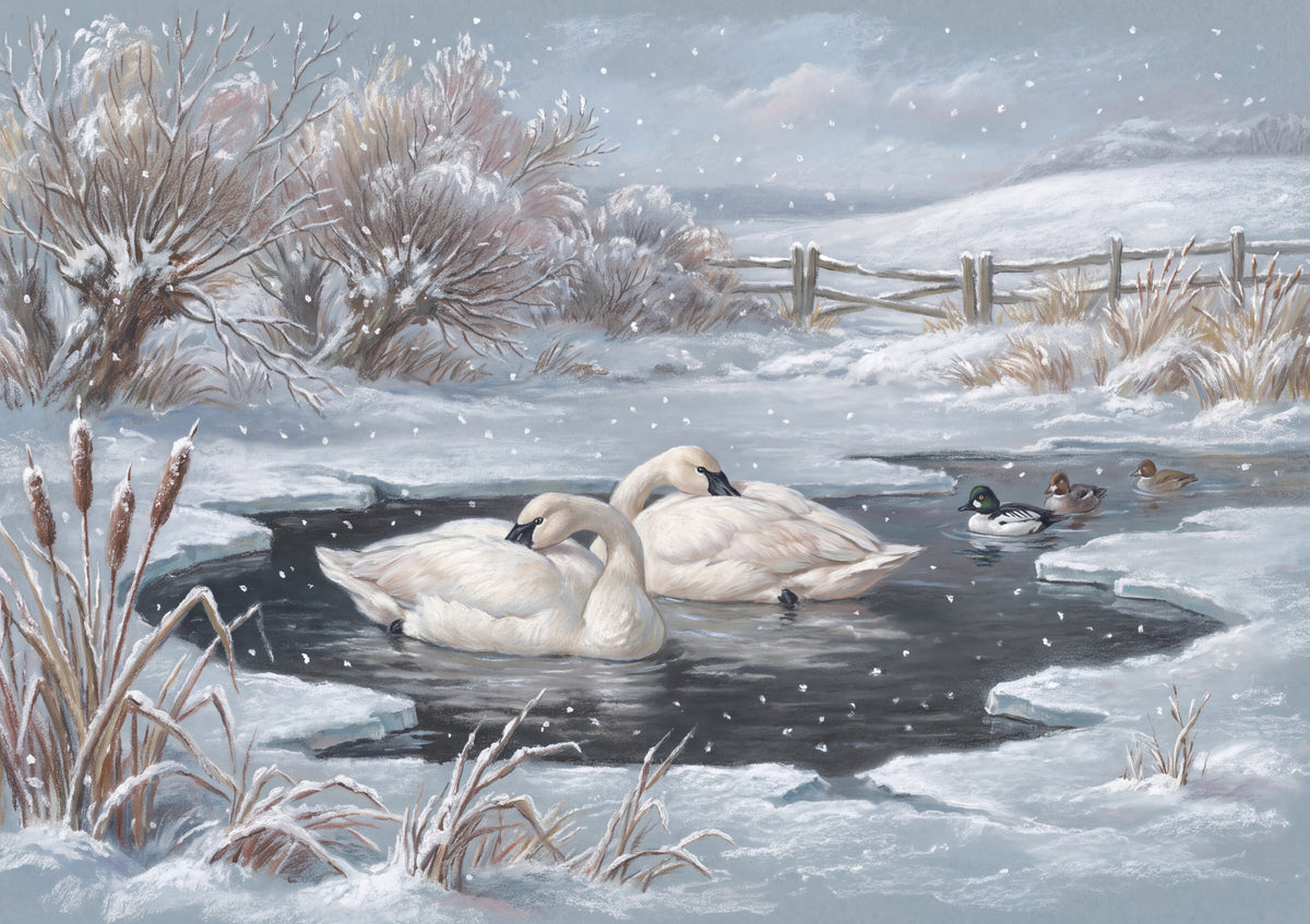 Swans on the Winter Snowfall Pond jigsaw puzzle