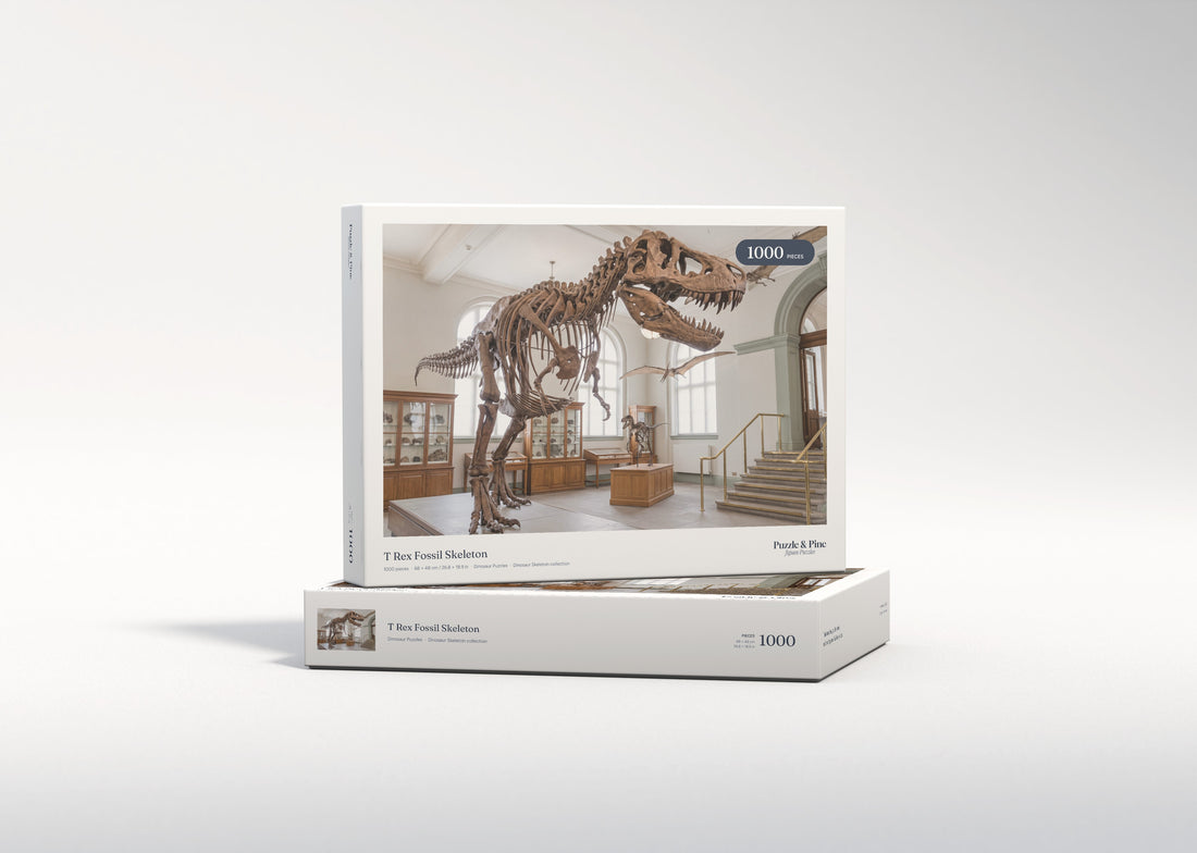 T Rex Fossil Skeleton jigsaw puzzle - gift box