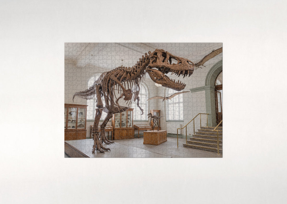 T Rex Fossil Skeleton jigsaw puzzle - gift box