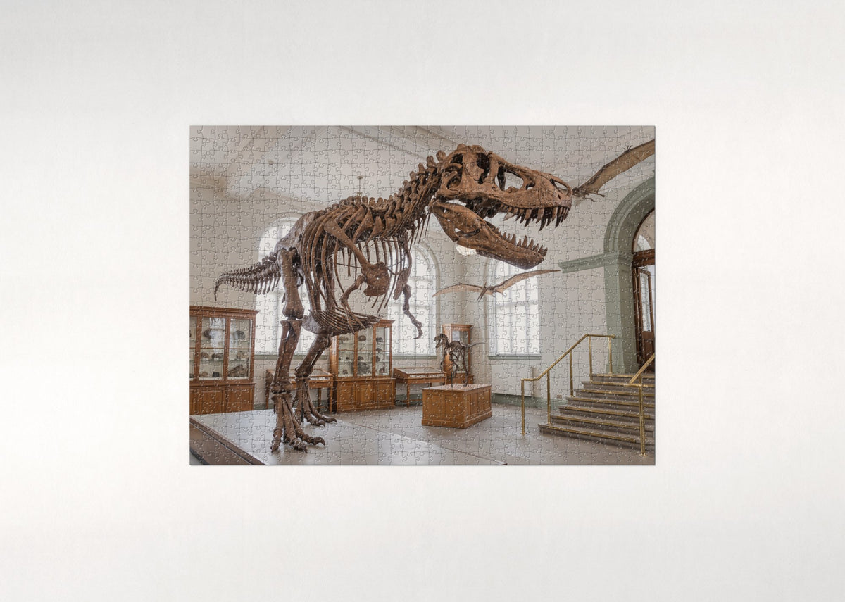 T Rex Fossil Skeleton jigsaw puzzle - flat puzzle