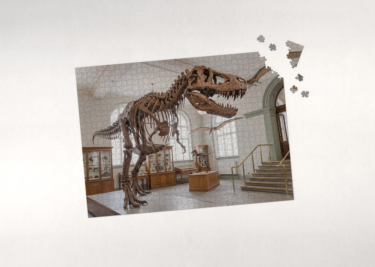 T Rex Fossil Skeleton jigsaw puzzle - puzzle with loose pieces
