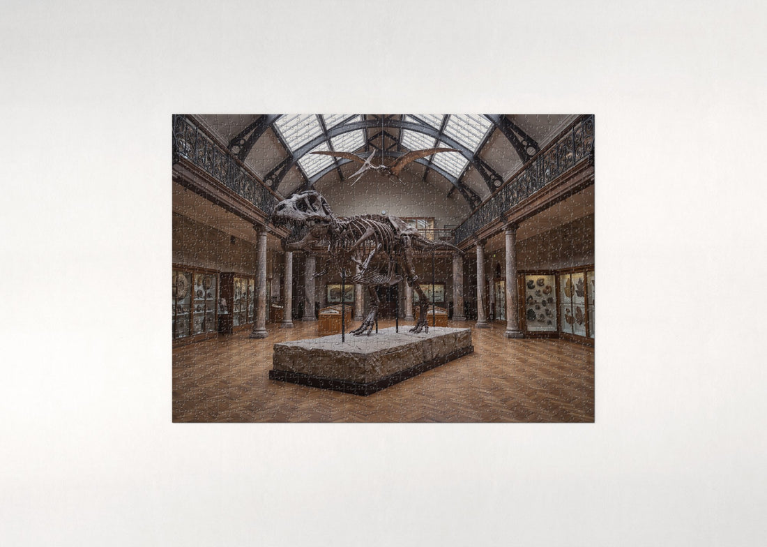 T Rex Skeleton at the Museum jigsaw puzzle - gift box