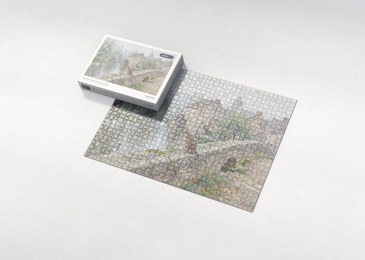 Tabby Cat On the Old Stone Bridge jigsaw puzzle - box and puzzle