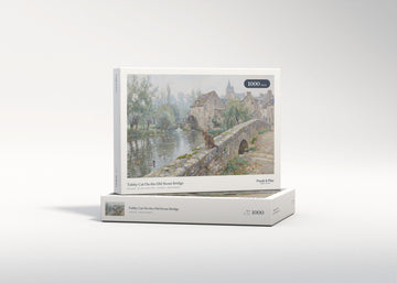 Tabby Cat On the Old Stone Bridge jigsaw puzzle - gift box