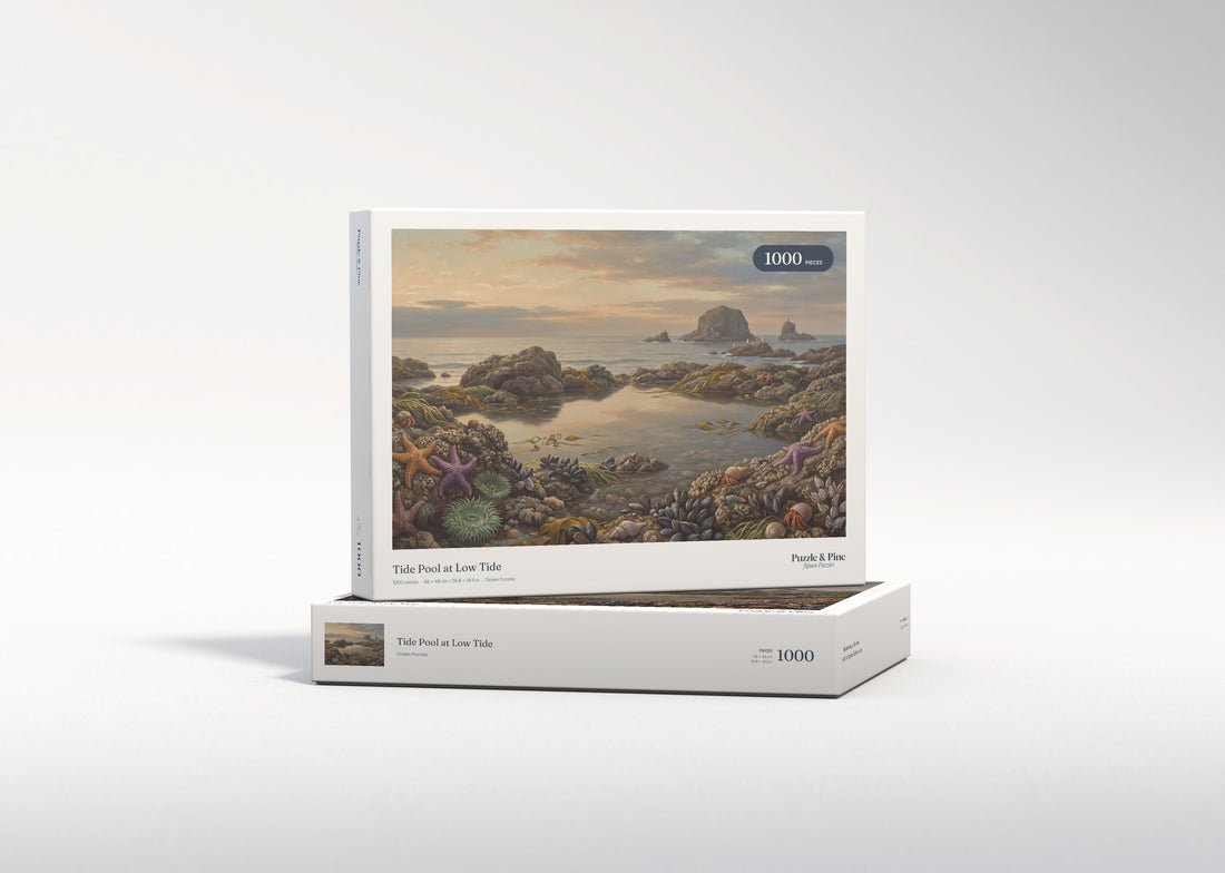 Tide Pool at Low Tide jigsaw puzzle - gift box