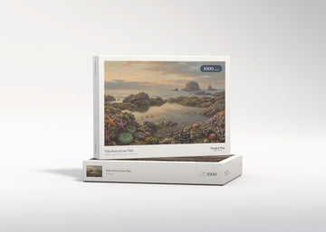 Tide Pool at Low Tide jigsaw puzzle - gift box