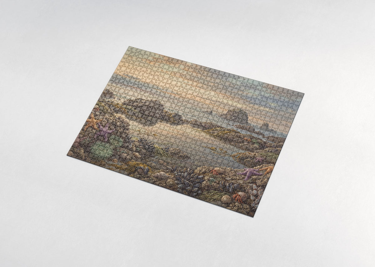 Tide Pool at Low Tide jigsaw puzzle - assembled puzzle