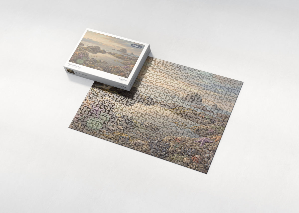 Tide Pool at Low Tide jigsaw puzzle - box and puzzle