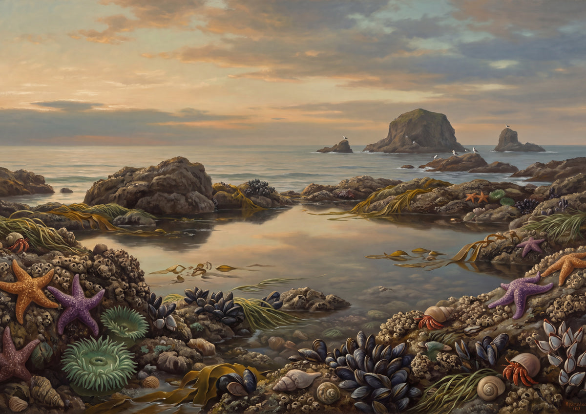 Tide Pool at Low Tide jigsaw puzzle