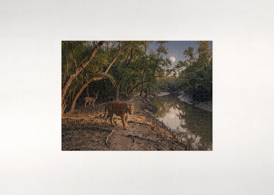 Tiger in the Night Jungle jigsaw puzzle - gift box