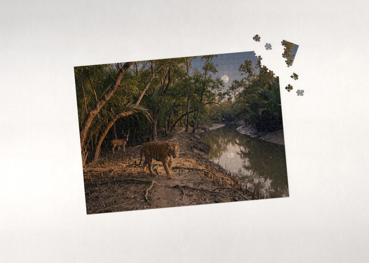 Tiger in the Night Jungle jigsaw puzzle - puzzle with loose pieces
