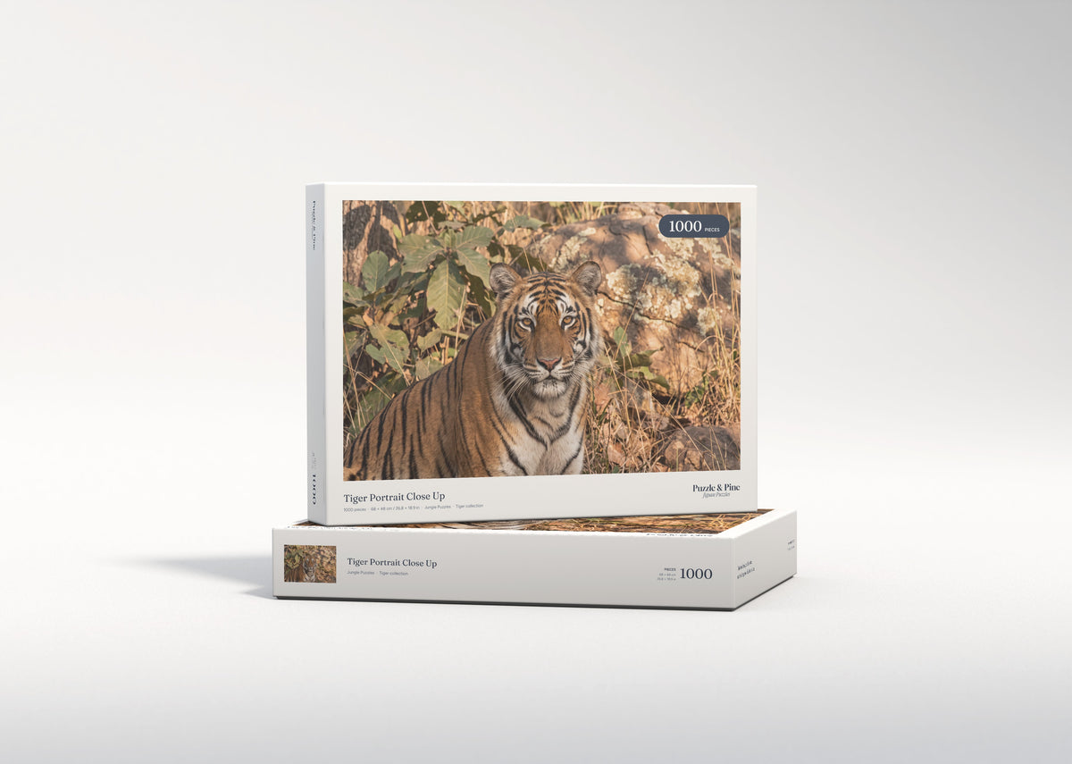 Tiger Portrait Close Up jigsaw puzzle - gift box