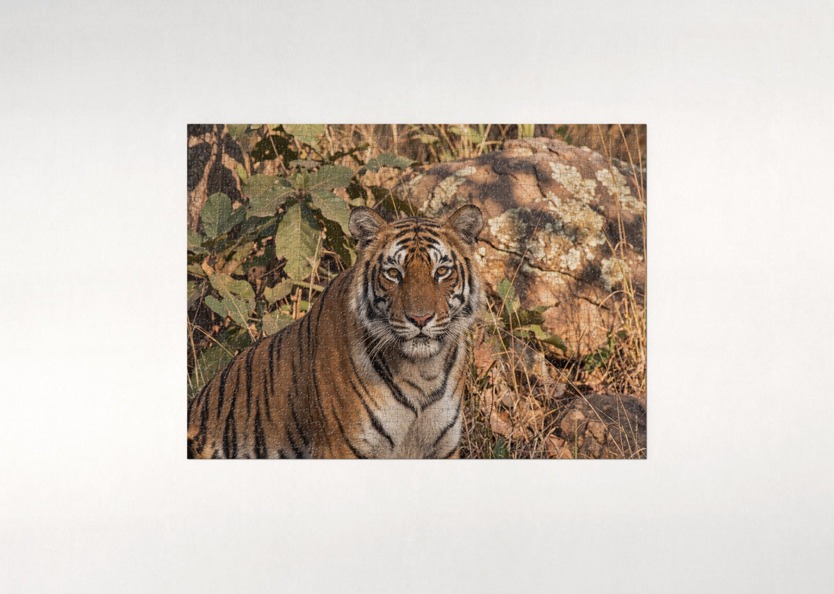 Tiger Portrait Close Up jigsaw puzzle - flat puzzle