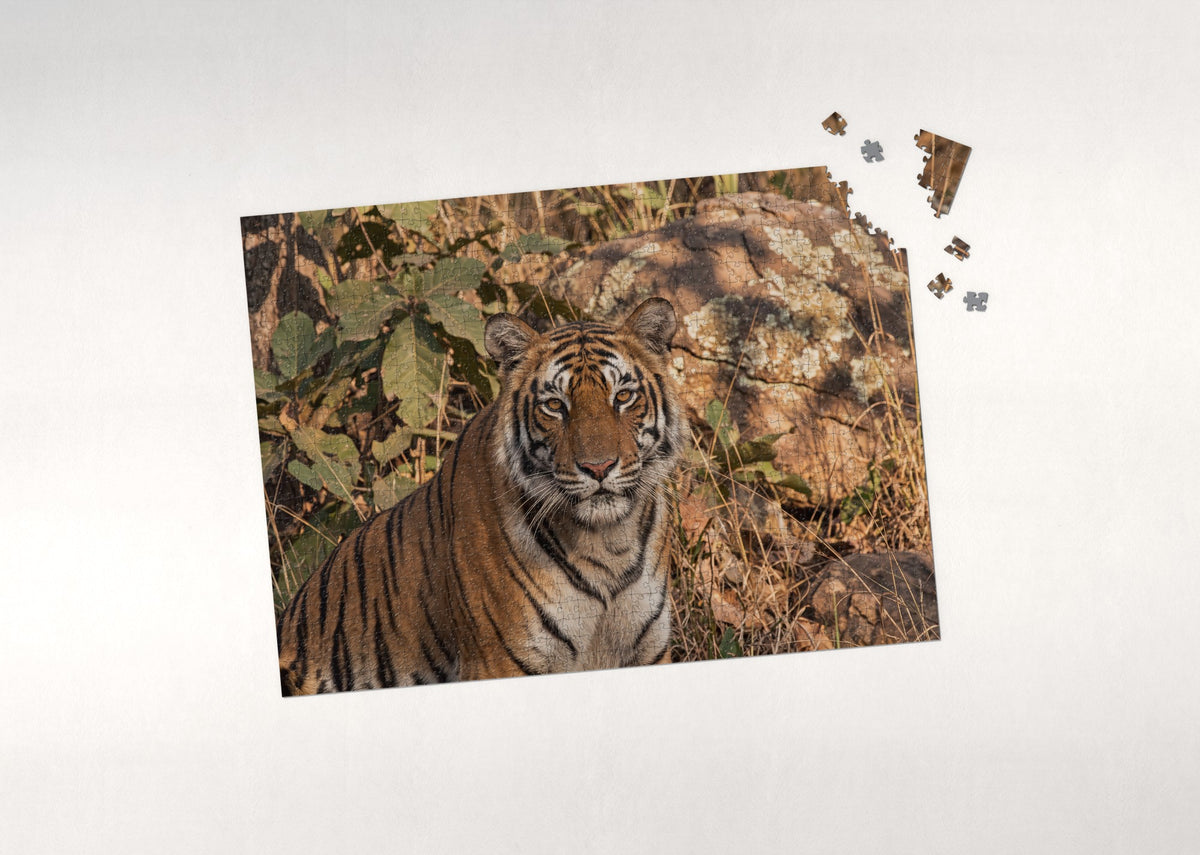 Tiger Portrait Close Up jigsaw puzzle - puzzle with loose pieces