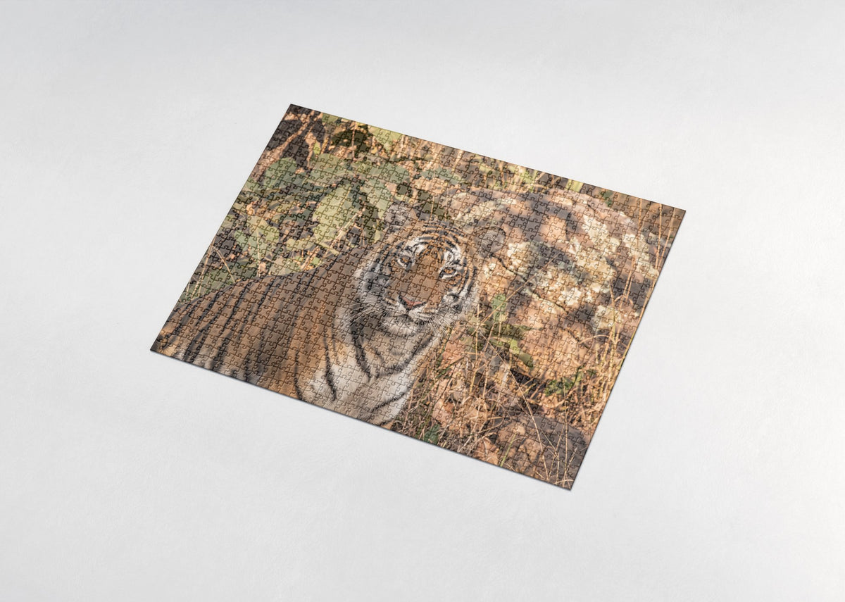 Tiger Portrait Close Up jigsaw puzzle - assembled puzzle
