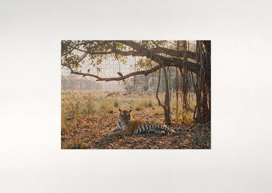 Tiger Resting in the Dappled Shade jigsaw puzzle - gift box