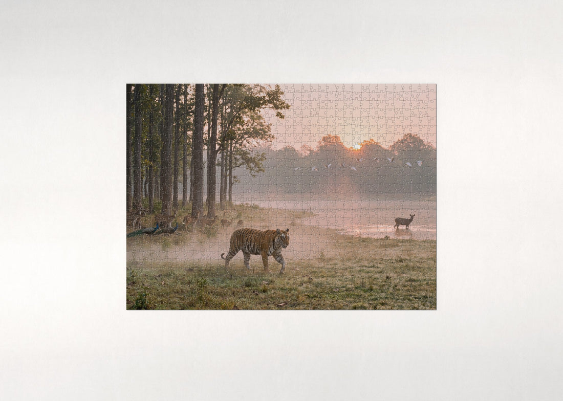 Tiger Sanctuary at Dawn jigsaw puzzle - gift box