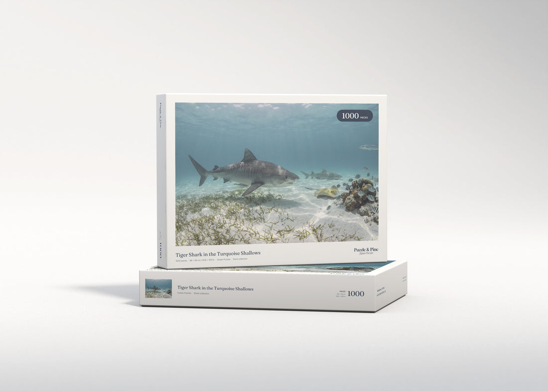 Tiger Shark in the Turquoise Shallows jigsaw puzzle - gift box