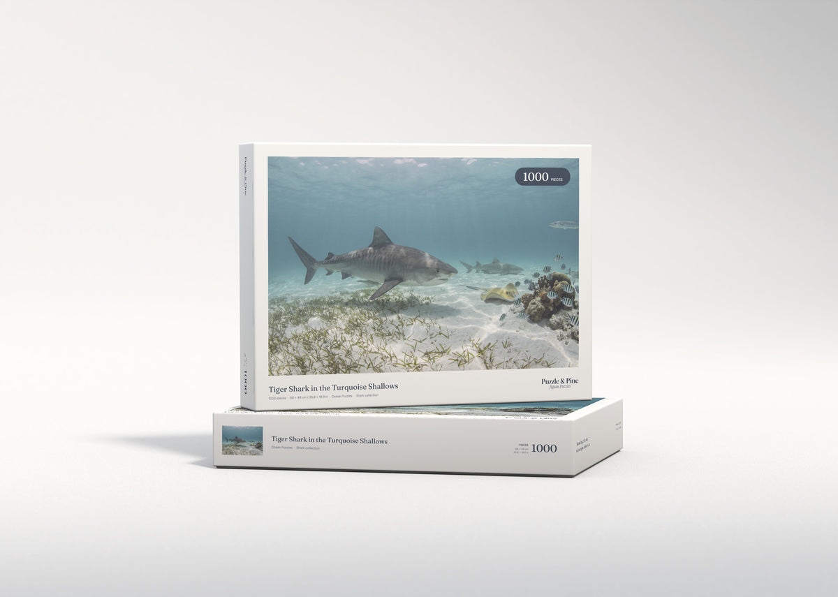 Tiger Shark in the Turquoise Shallows jigsaw puzzle - gift box
