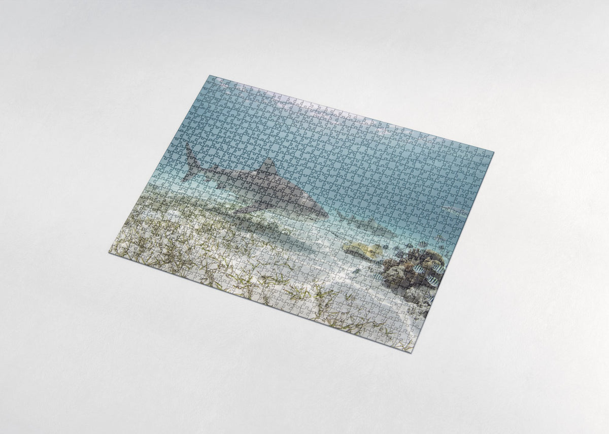 Tiger Shark in the Turquoise Shallows jigsaw puzzle - assembled puzzle