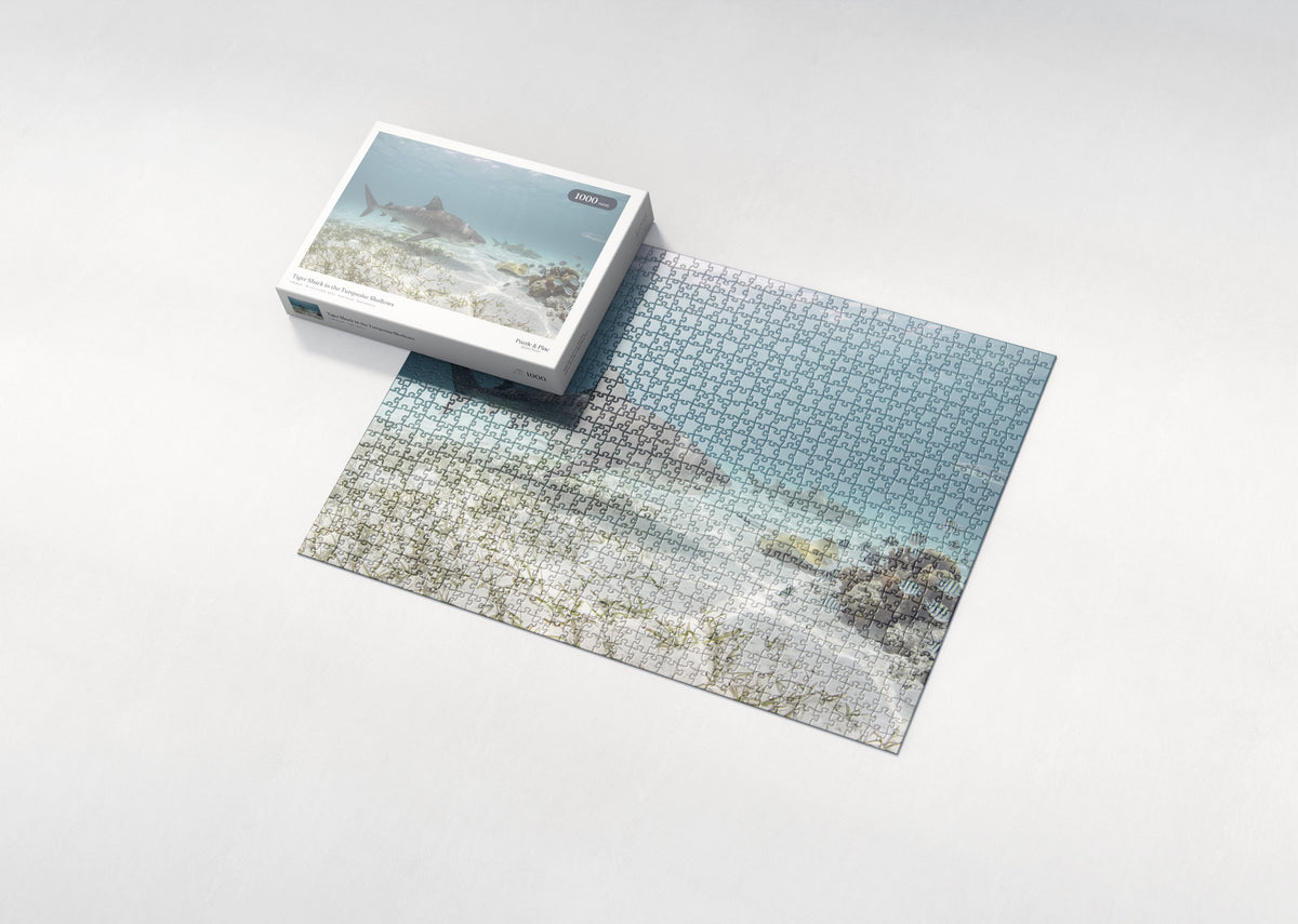 Tiger Shark in the Turquoise Shallows jigsaw puzzle - box and puzzle