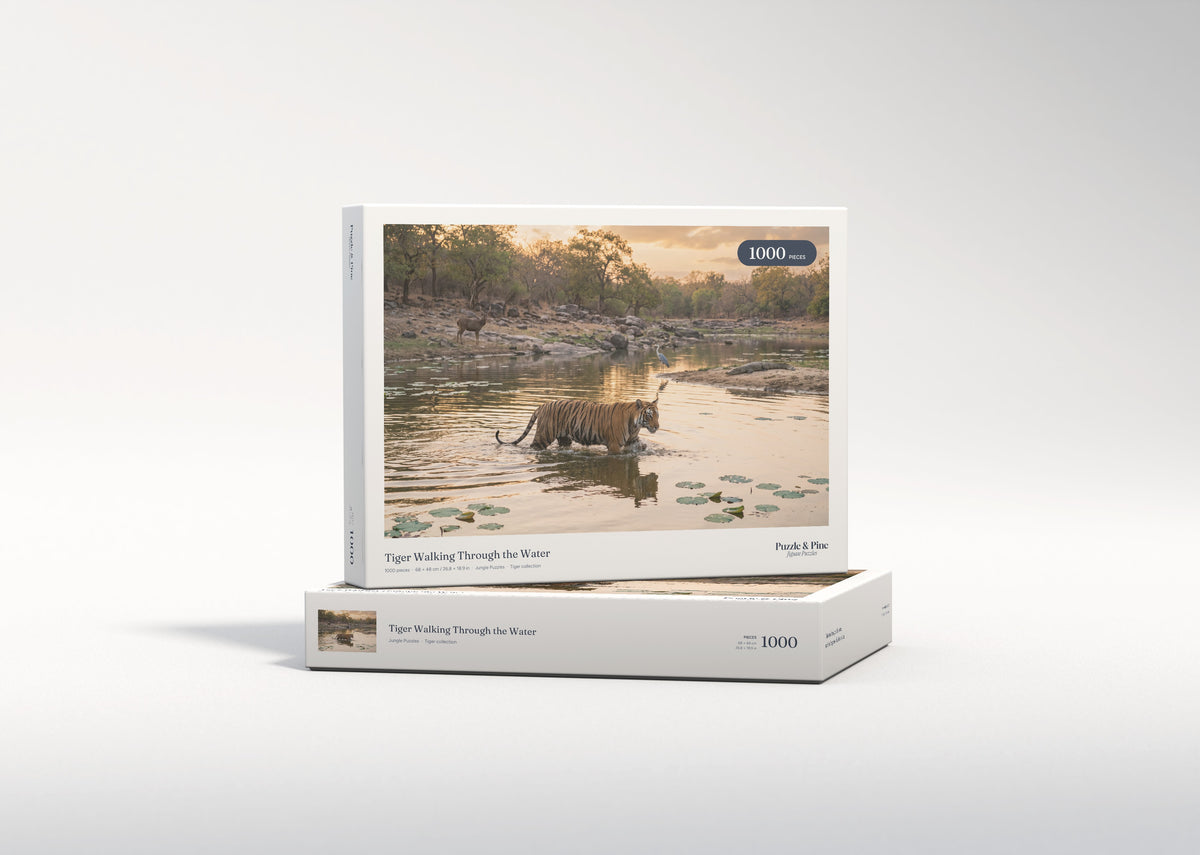 Tiger Walking Through the Water jigsaw puzzle - gift box