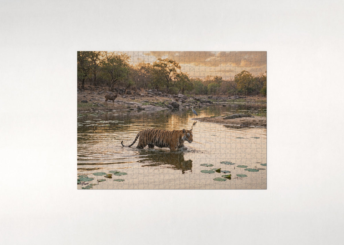 Tiger Walking Through the Water jigsaw puzzle - flat puzzle