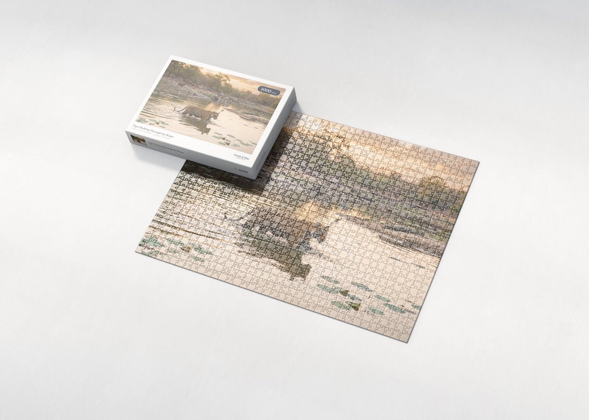 Tiger Walking Through the Water jigsaw puzzle - box and puzzle