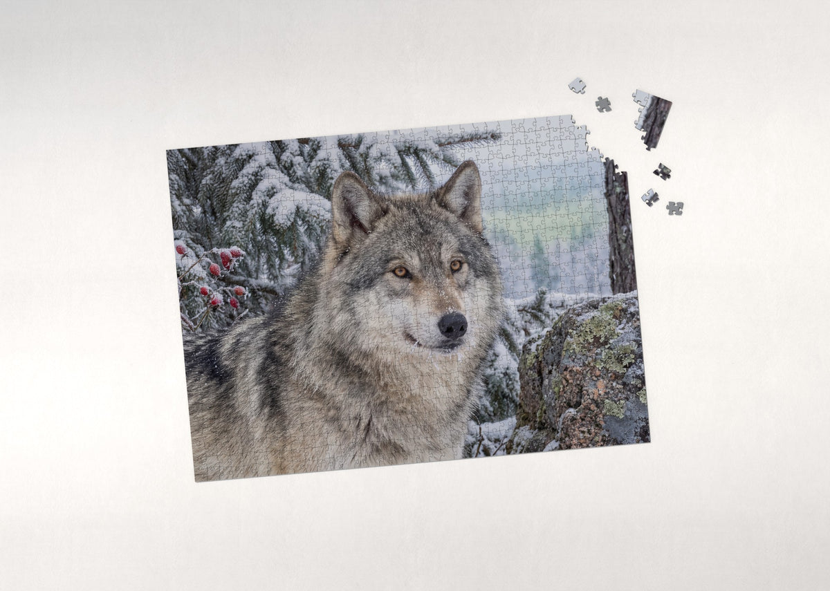 Timber Wolf Portrait jigsaw puzzle - puzzle with loose pieces