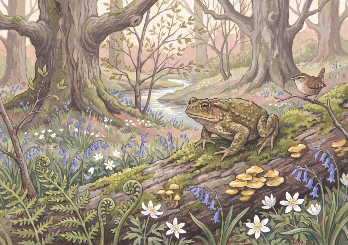 Toad on the Mossy Log jigsaw puzzle