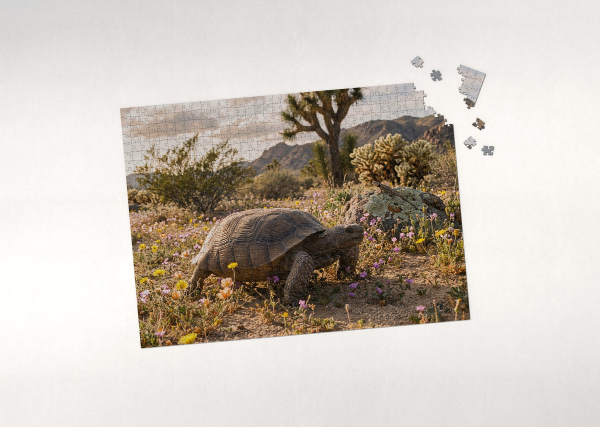Tortoise in the Desert Wildflowers jigsaw puzzle - puzzle with loose pieces
