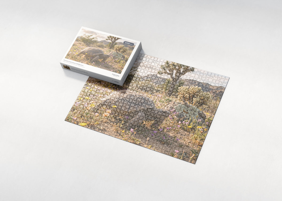Tortoise in the Desert Wildflowers jigsaw puzzle - box and puzzle