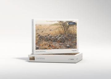 Tortoise Shell Pattern jigsaw puzzle - gift box
