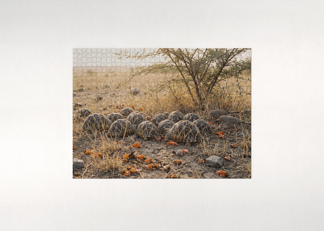 Tortoise Shell Pattern jigsaw puzzle - gift box