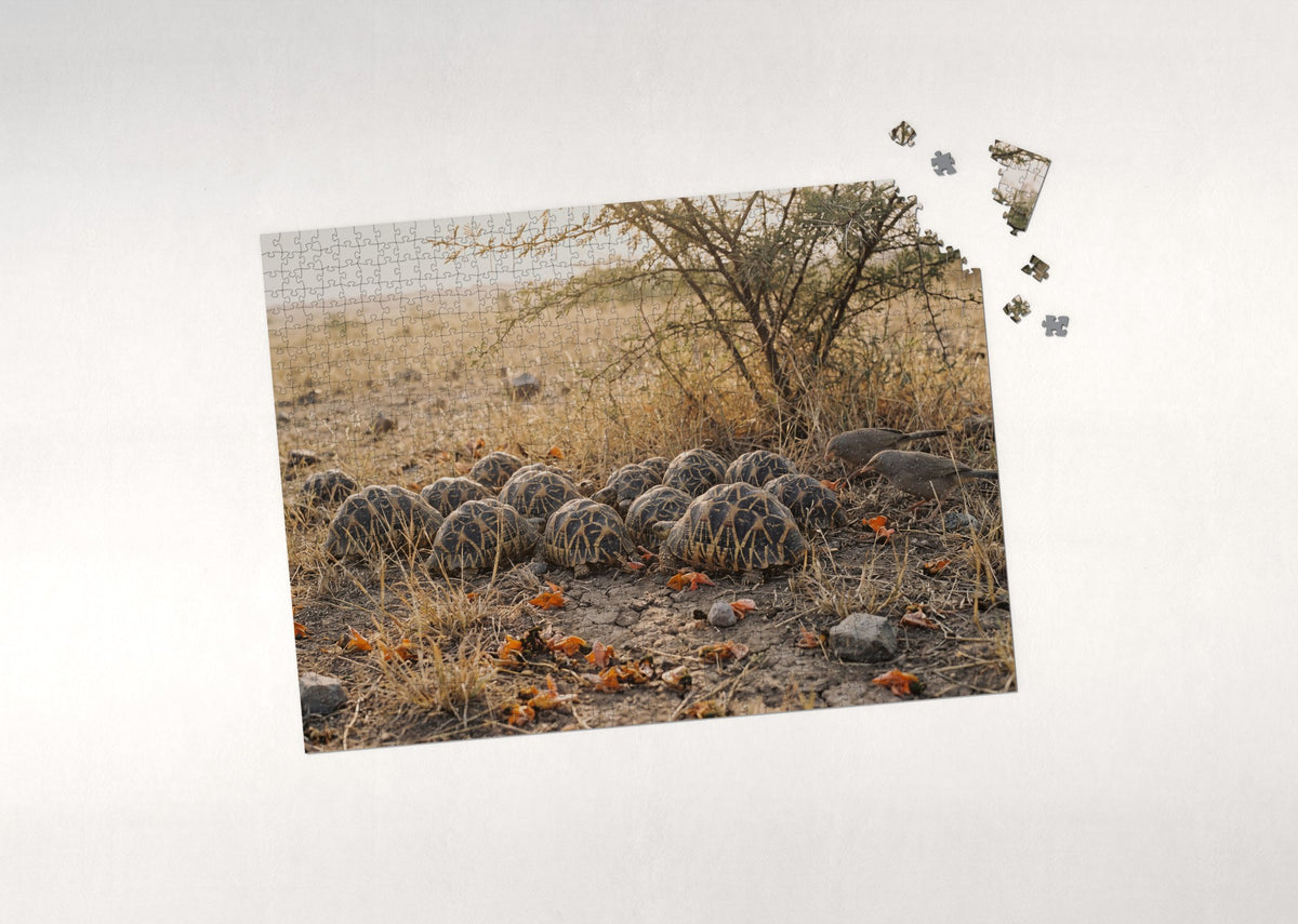Tortoise Shell Pattern jigsaw puzzle - puzzle with loose pieces