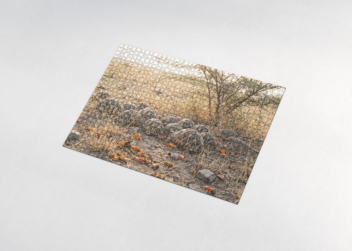 Tortoise Shell Pattern jigsaw puzzle - assembled puzzle
