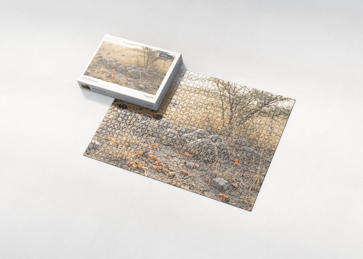 Tortoise Shell Pattern jigsaw puzzle - box and puzzle