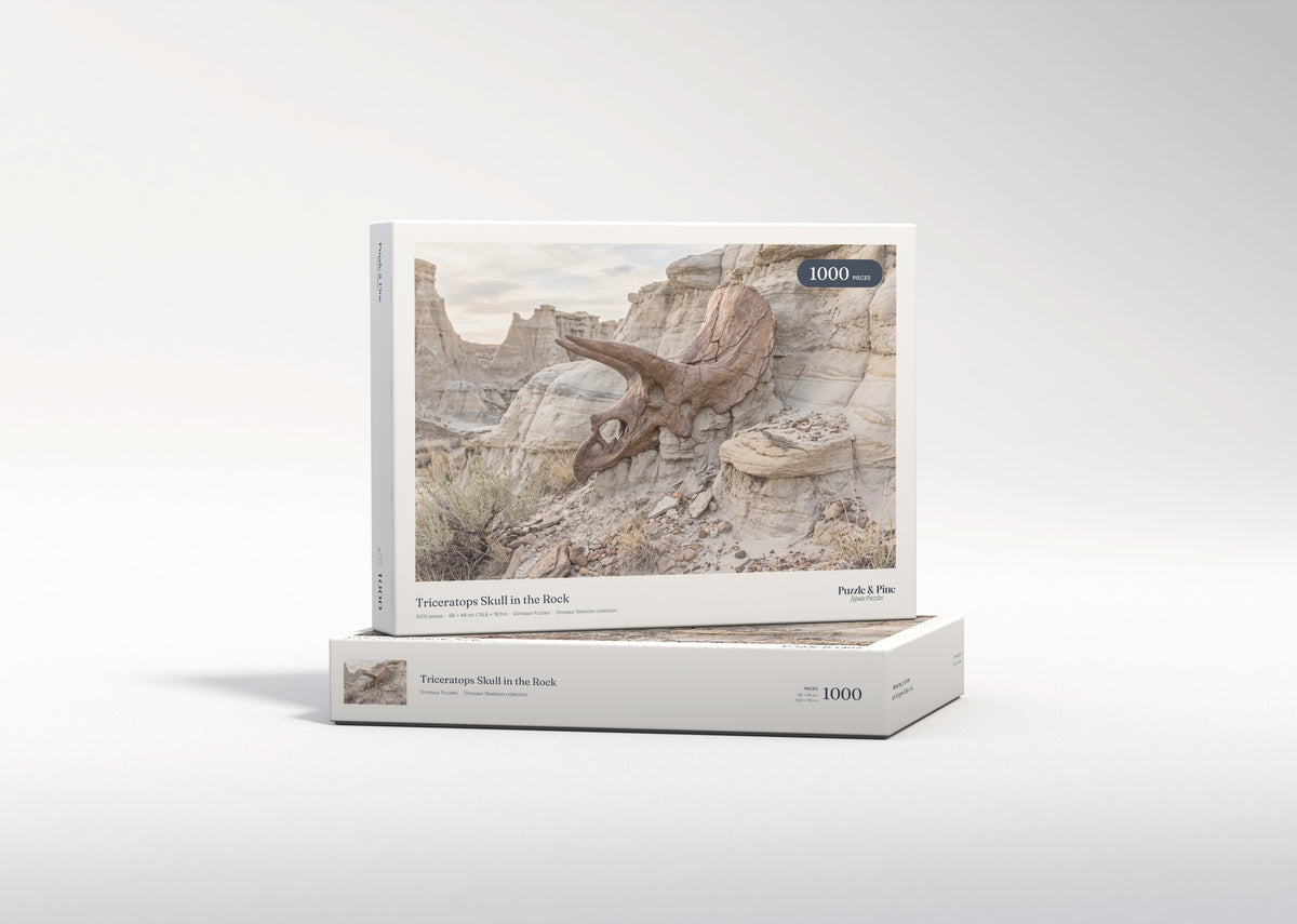 Triceratops Skull in the Rock jigsaw puzzle - gift box