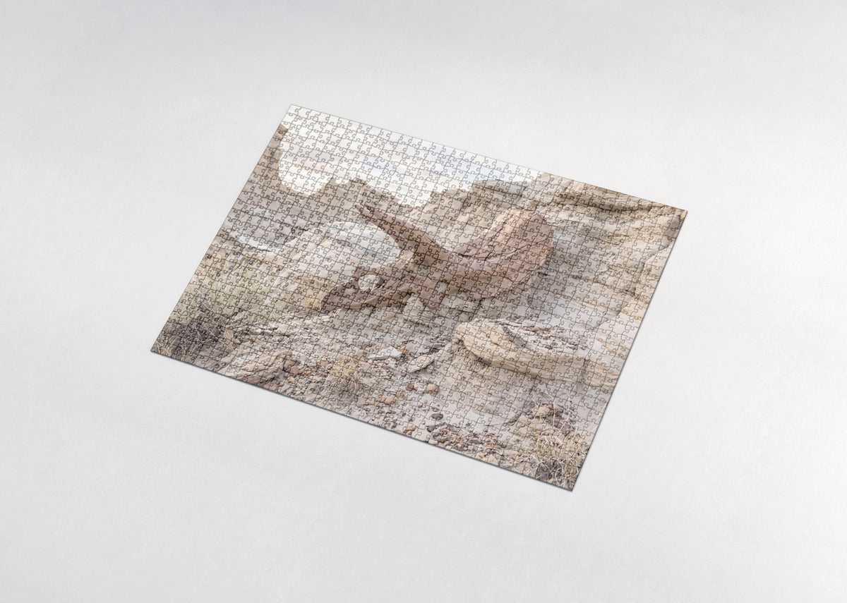 Triceratops Skull in the Rock jigsaw puzzle - assembled puzzle