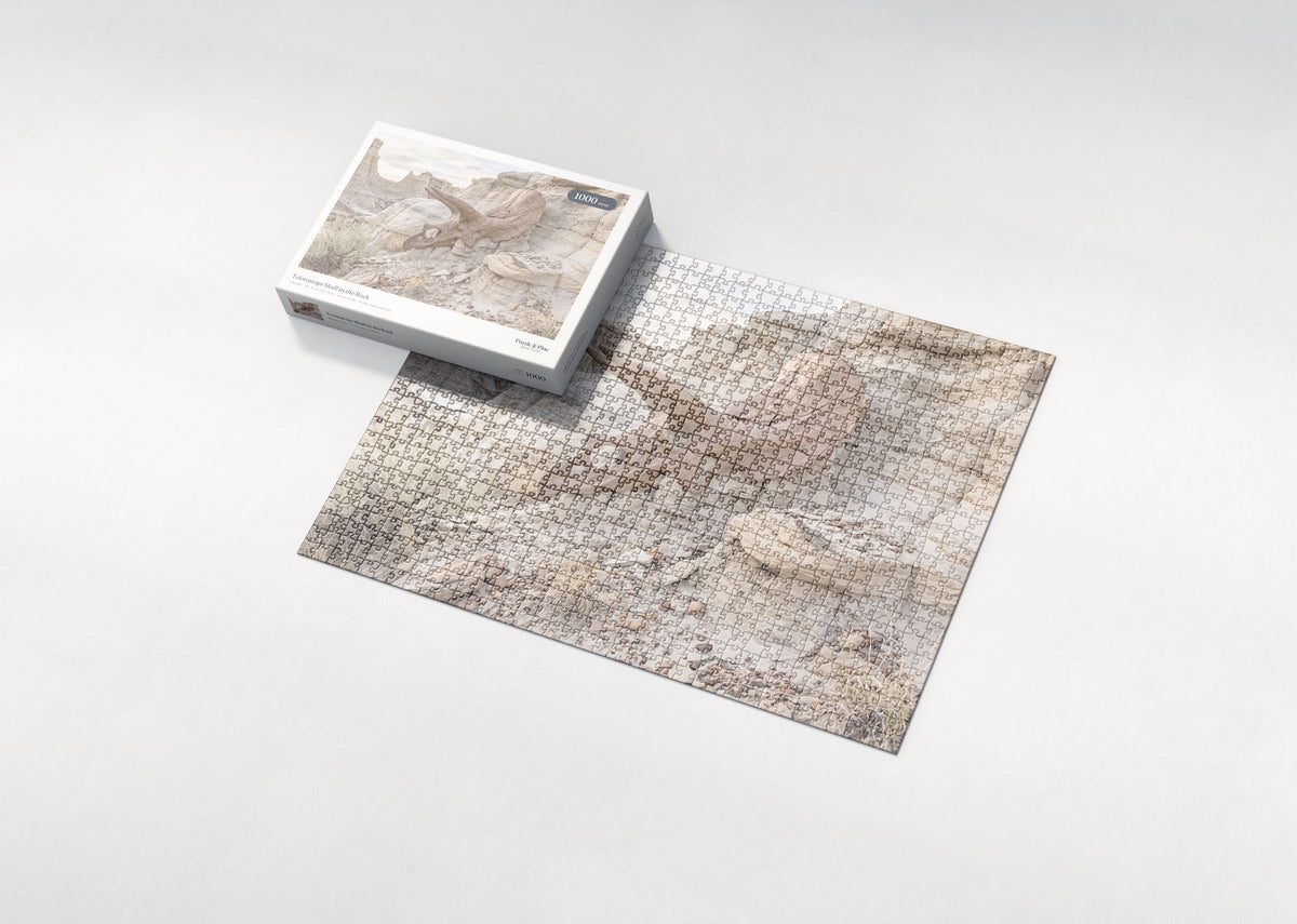 Triceratops Skull in the Rock jigsaw puzzle - box and puzzle