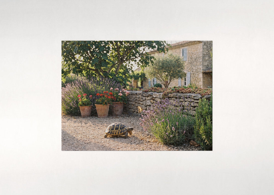 Turtle Crossing the Garden Path jigsaw puzzle - gift box