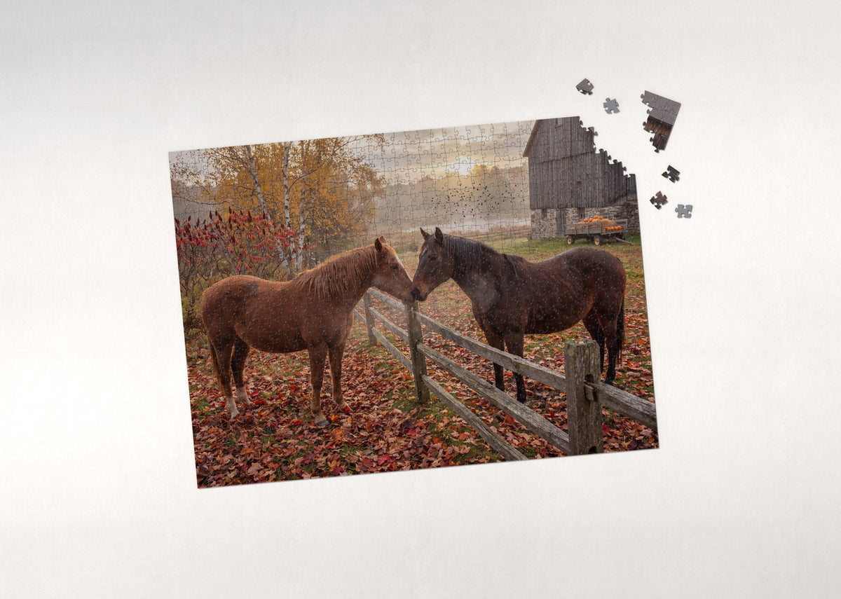 Two Horses Nuzzling at the Autumn Fence jigsaw puzzle - puzzle with loose pieces