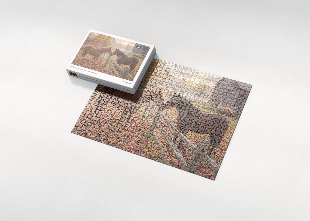 Two Horses Nuzzling at the Autumn Fence jigsaw puzzle - box and puzzle