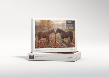Two Horses Nuzzling at the Autumn Fence jigsaw puzzle - gift box